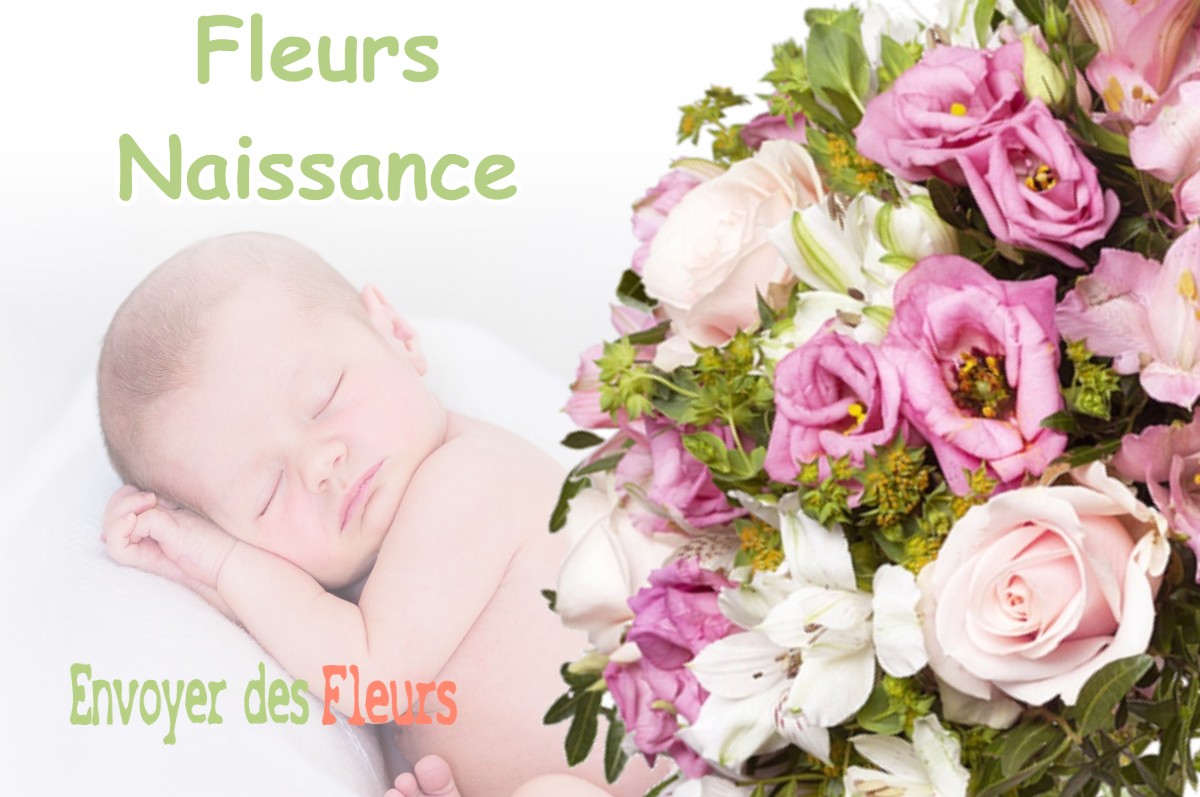 lIVRAISON FLEURS NAISSANCE à LABASTIDE-SAINT-SERNIN