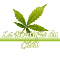 LA BOUTIQUE DU CBD LABASTIDE-SAINT-SERNIN 